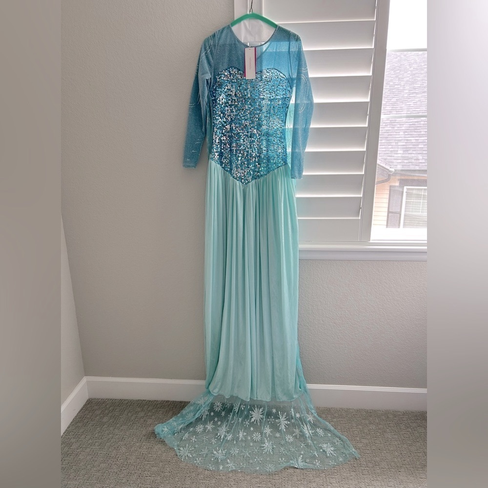 Adult Frozen (Elsa) Snow Princess Dress